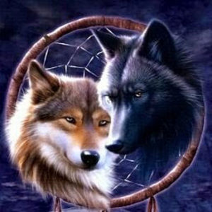 Meet your Posher, Trina